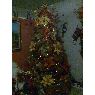 Sapin de Noël de Daniela Acosta (San Francisco, Maracaibo, Venezuela)