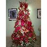 �rbol de Navidad de Marilyn Rodriguez (Cabudare, Venezuela)