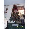 �rbol de Navidad de Alba Anguiano (North Carolina, Estados Unidos)