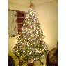 �rbol de Navidad de Alfredo Flores (Cuman�, Venezuela)