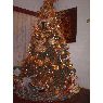 Rendry Gonz�lez's Christmas tree from Venezuela