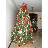 �rbol de Navidad de Lorena  Anez de Coletta  (Maracaibo, Venezuela)