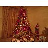 �rbol de Navidad de Marisol de Urriola (Maracaibo, Venezuela )