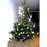 �rbol de Navidad de Dacunto (S�te, France)