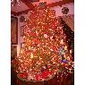 �rbol de Navidad de DELIA FRASCINO (miami,fl,usa)