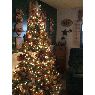 �rbol de Navidad de Dee Bollinger (Freeport, PA., USA)