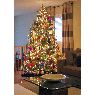 �rbol de Navidad de Robert Sheppard (Toronto, ON, Canada)