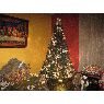 �rbol de Navidad de Armando (Lima, Per�)