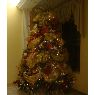 �rbol de Navidad de Mairim Villalobos (Maracaibo, Venezuela)