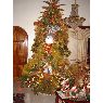 Maria Luisa Romero's Christmas tree from Merida, Venezuela