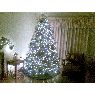 Cecy Velasco M.'s Christmas tree from Sonora, Mexico