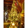 �rbol de Navidad de Valent�n Marte (Argentina)
