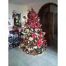 Weihnachtsbaum von Thais R. Medina (Venezuela, Los Teques)