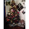 Edy de Linarez's Christmas tree from Barquisimeto, Venezuela
