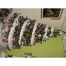 �rbol de Navidad de Evelia de Zambrano (T�chira, Venezuela)