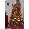 �rbol de Navidad de Iris N��ez (Maracaibo, Venezuela)