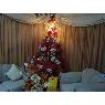 �rbol de Navidad de Jubella de Araujo  (Barquisimeto, Venezuela)