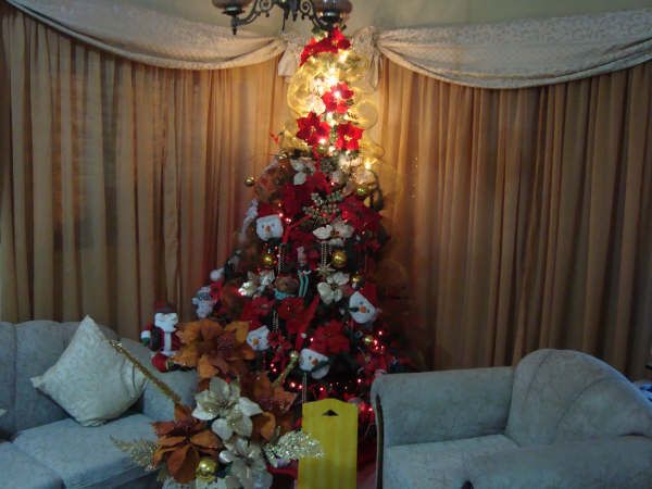 Jubella de Araujo  (Barquisimeto, Venezuela)