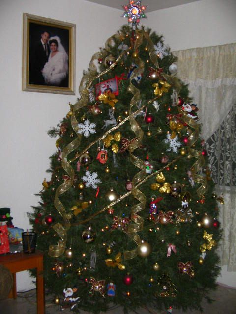 Mary Ayon (Tijuana, Baja California, M�xico)