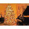Sapin de Noël de Daria M. (York - Springettsbury Twp - , PA, USA)