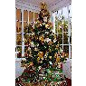�rbol de Navidad de Julio Bernardo Alvarez (Jerez de la Frontera, C�diz, Espa�a)