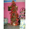 �rbol de Navidad de Miguel Yanguez (Panam�, Panam�)