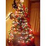 Sandra Mendoza's Christmas tree from Guayaquil, Ecuador