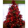 Rosie Ramirez's Christmas tree from Wenatchee, WA, USA