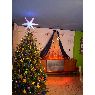 Miguel Buonafina's Christmas tree from Caracas, Venezuela