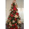 Ani Baghdasaryan's Christmas tree from Valencia, Espa�a