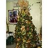 Weihnachtsbaum von Miriam Rodríguez (Valencia, Venezuela)