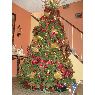 Elizabeth's Christmas tree from Ponce, Puerto Rico