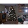 �rbol de Navidad de Beverly Triplett (Florence, AZ, USA)