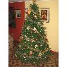 Sapin de Noël de Leidy (Santander)