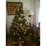 Ana,Guille y Patricia's Christmas tree from Madrid, Espa�a