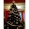 �rbol de Navidad de Quentin Moeskops (Wagnel�e, Belgique)