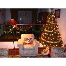 �rbol de Navidad de Gonzalo Moreano (Quito, Ecuador)