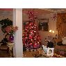 �rbol de Navidad de Familia Escobar Romero (Cabimas, Zulia, Venezuela)