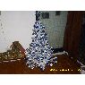 �rbol de Navidad de Karina (BS AS, Argentina)