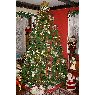 Alonsito Corvalan Duarte's Christmas tree from Santiago, Chile