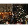 Familia Solano Guarin - Tatiana Guarin,esposo e hi's Christmas tree from Bogota, Colombia