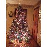 �rbol de Navidad de Laura Reeves (Middleton, Nova Scotia, Canada)