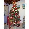 �rbol de Navidad de Yraida Peroza de Corriere (Caracas, Venezuela)