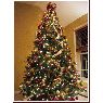 �rbol de Navidad de Scott Wright (Hooksett, NH, USA)