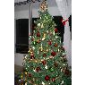 Weihnachtsbaum von Ani Farías Sánchez (Chile)