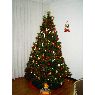 �rbol de Navidad de Familia Cifone-Ponte (La Rioja, Espa�a)
