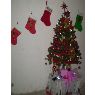 Jennifer Periera Vasquez's Christmas tree from Isla de San Andres, Colombia