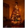 �rbol de Navidad de Norma Dur�n (Barquisimeto, Venezuela)
