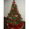 Sociedad Colombiana de Pediatr�a's Christmas tree from Bogot�, Colombia