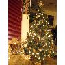 �rbol de Navidad de PR Emma (Toulouse, France)